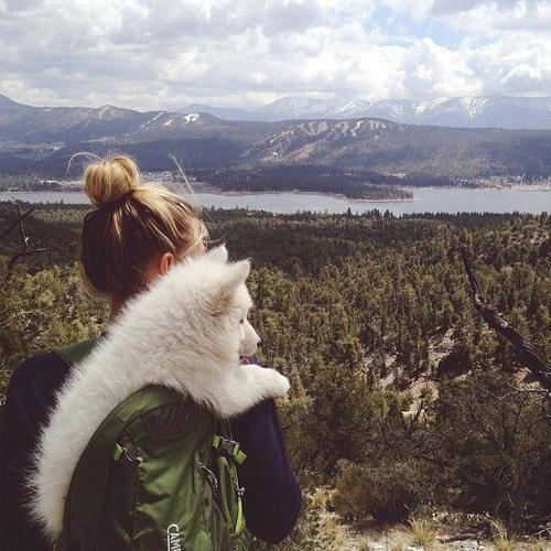 dog and girl
