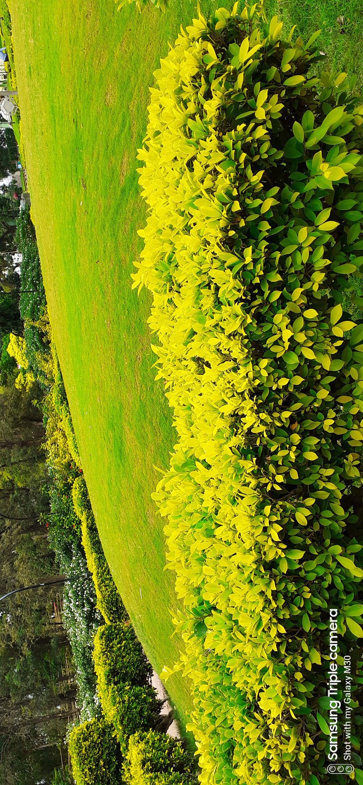 nature