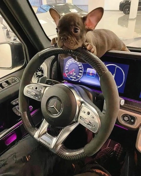 car, Wheel achtergronden