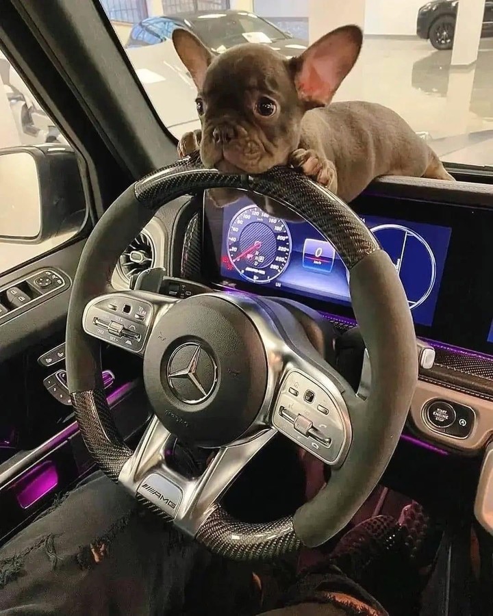 .