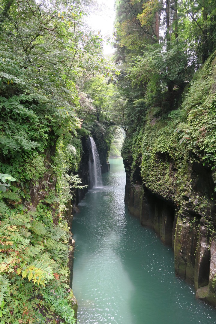 Nature