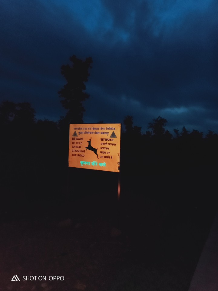 Jungle Road....
