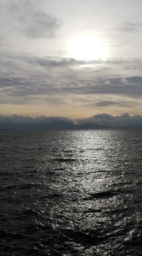 Mare