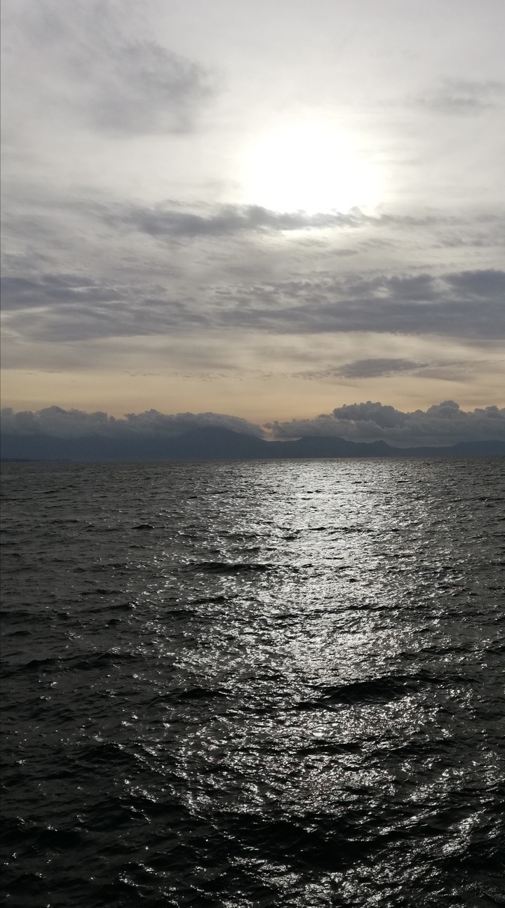 Mare