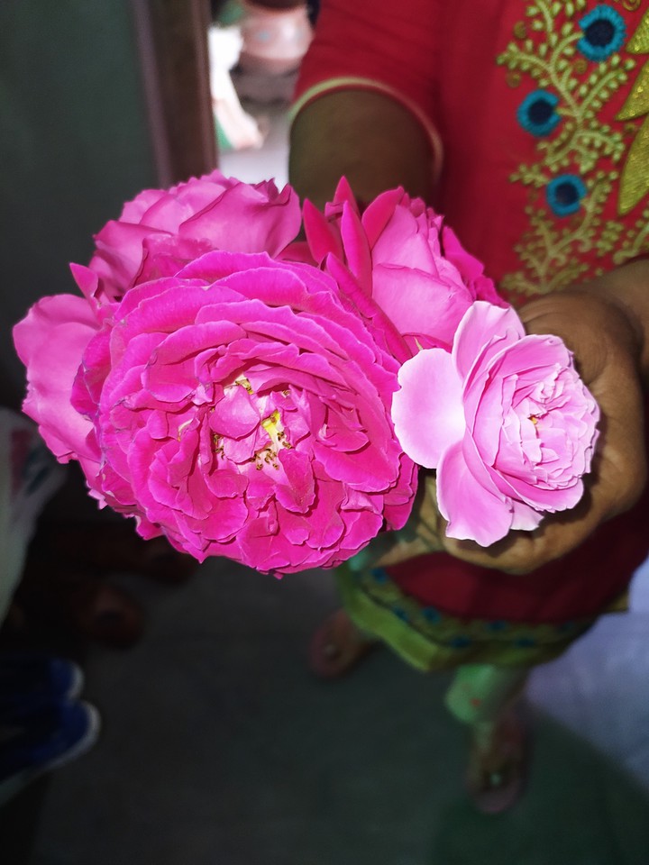 Navratre
