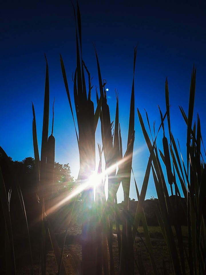 Sun and the moon
