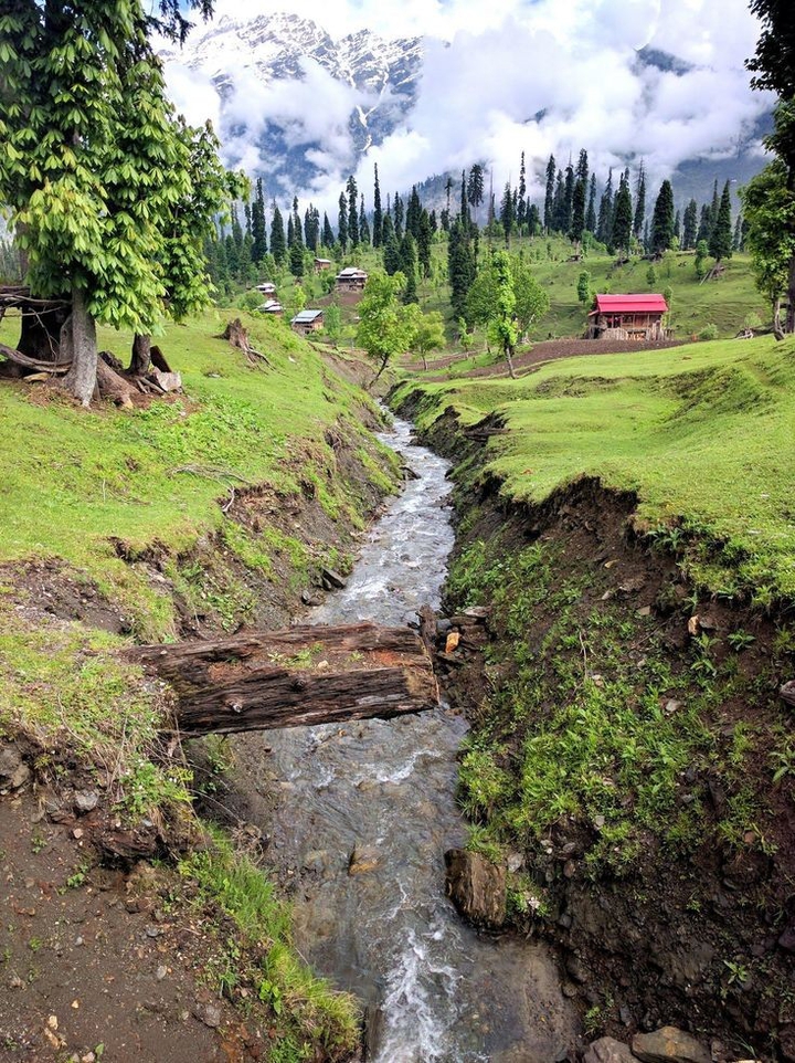 Pakistan