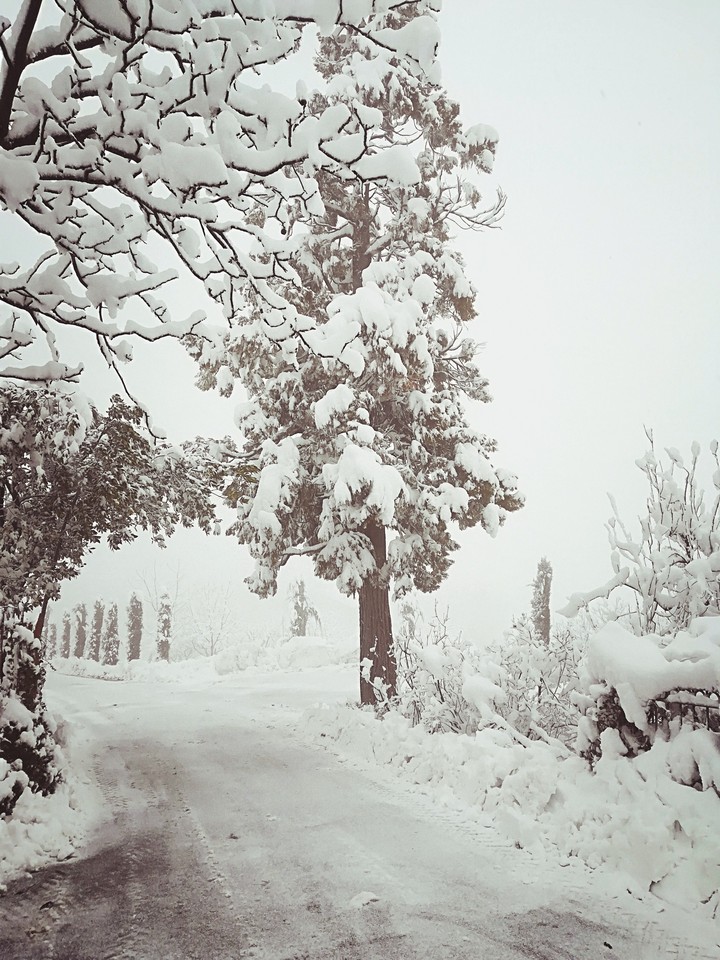 winter