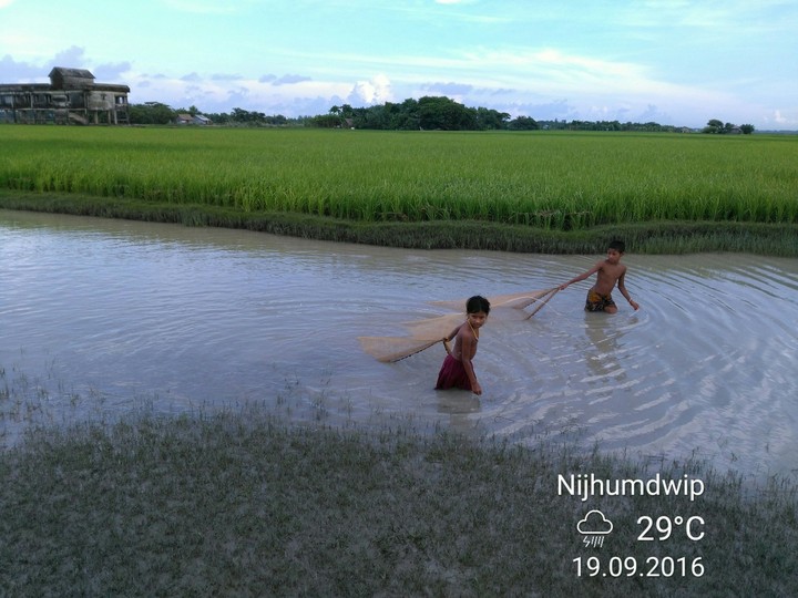 মাছধরা