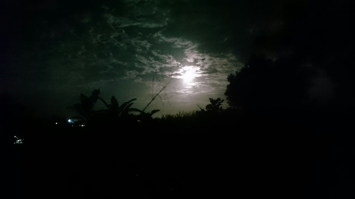 moon nigth