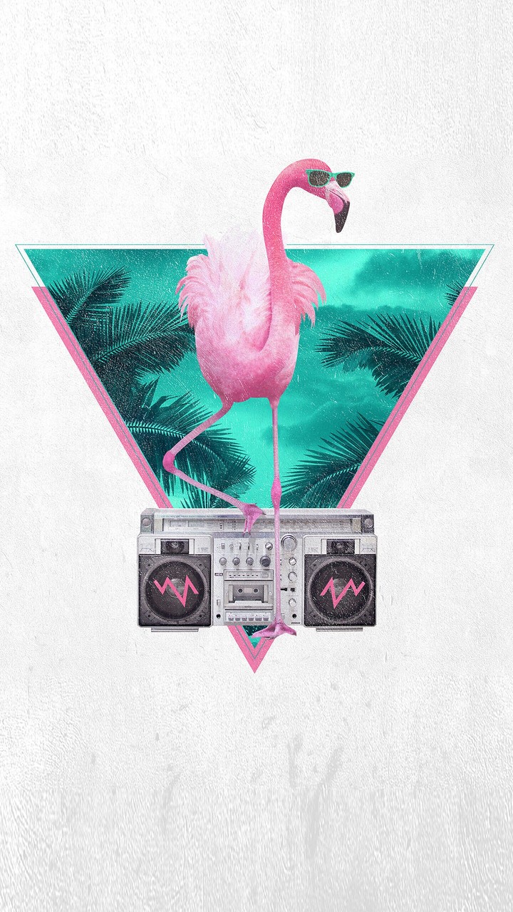 Flamingo