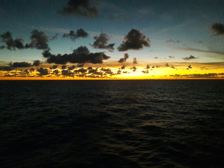 Shark in the sky