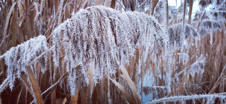 Winter Winter
