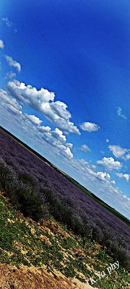 Природа