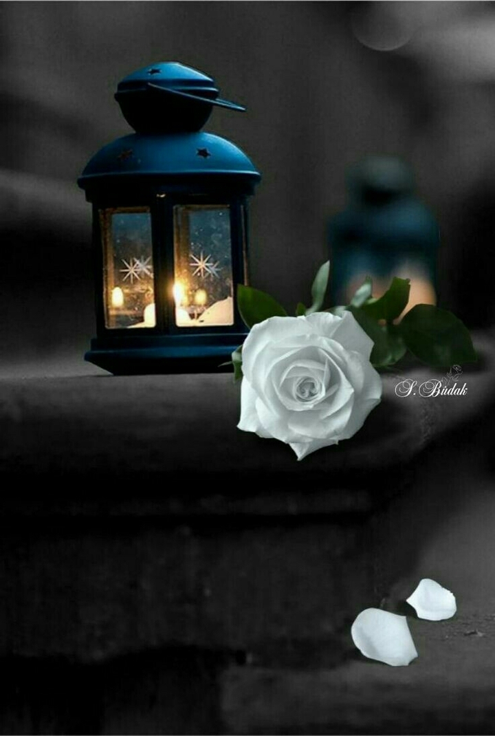 night