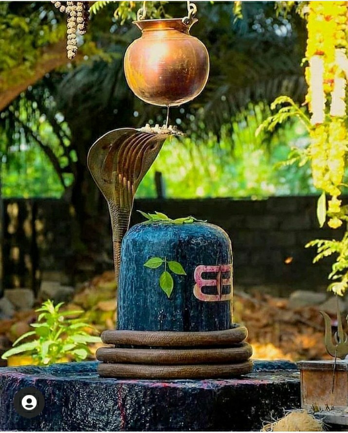 om namah shivay