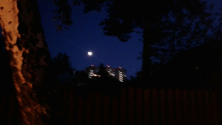 Night town