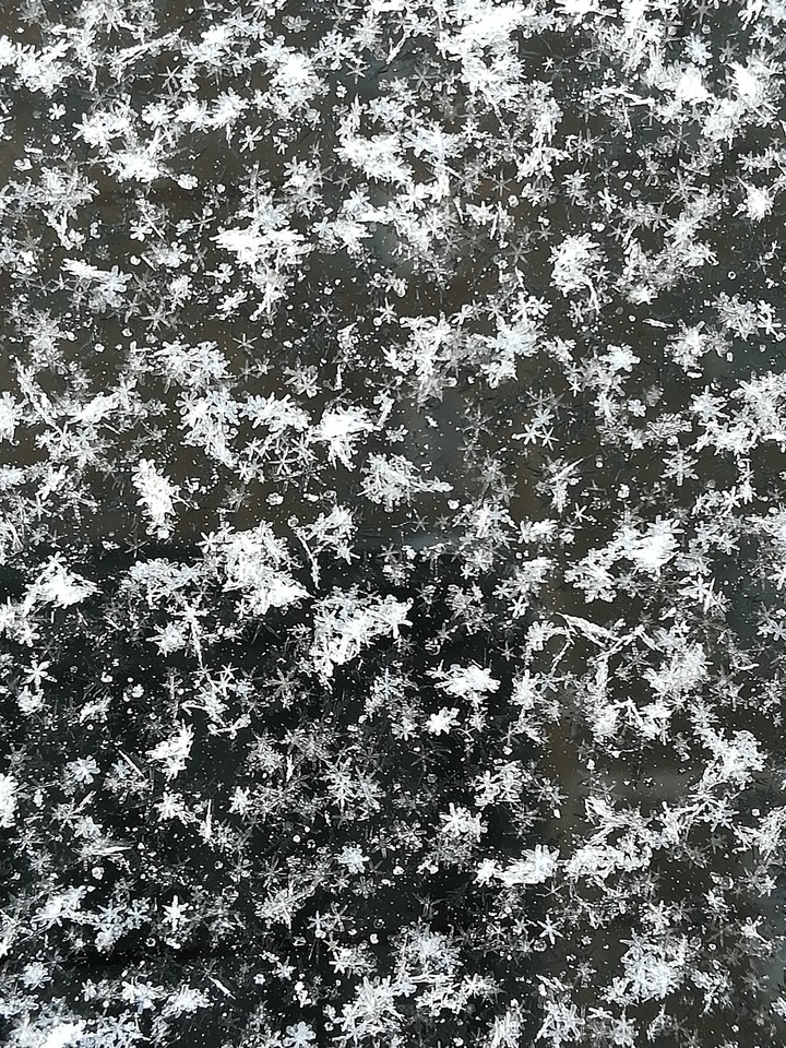 Snowflakes