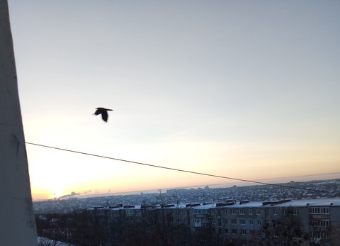 Рассвет