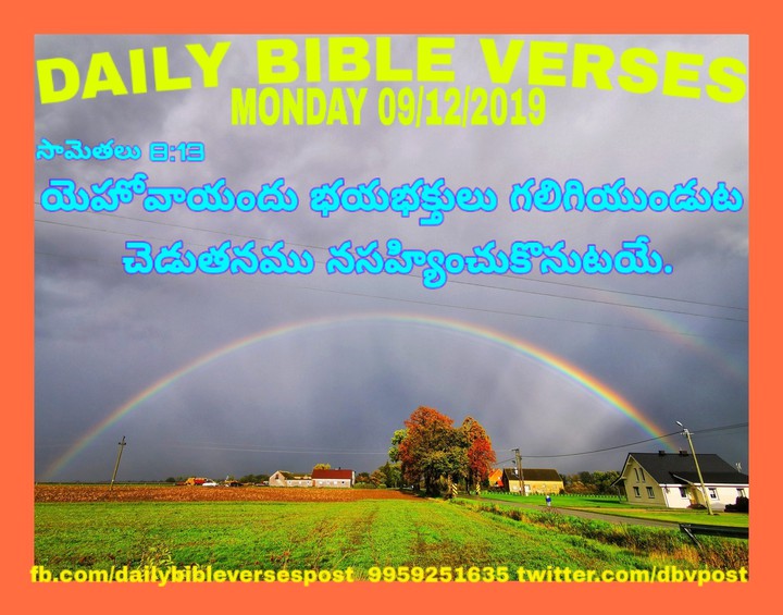 DAILY BIBLE VERSES