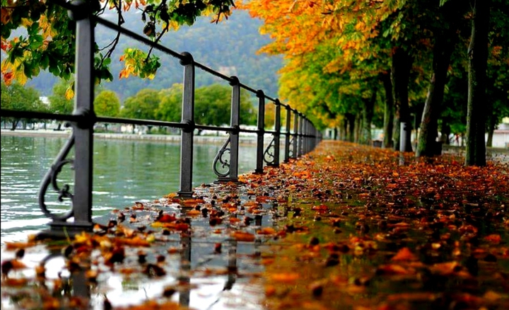 Goodbye autumn