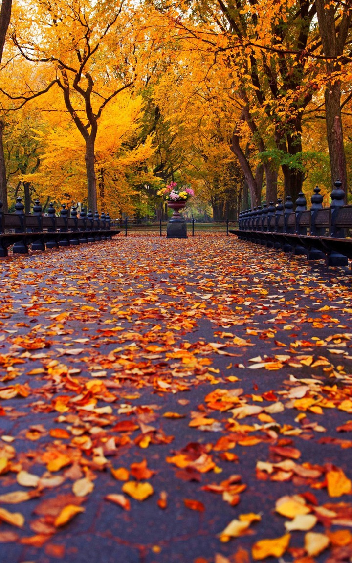 park