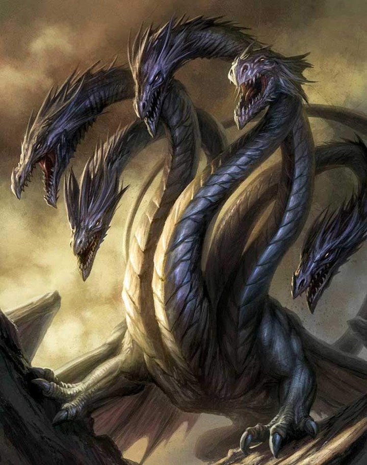 Hydra