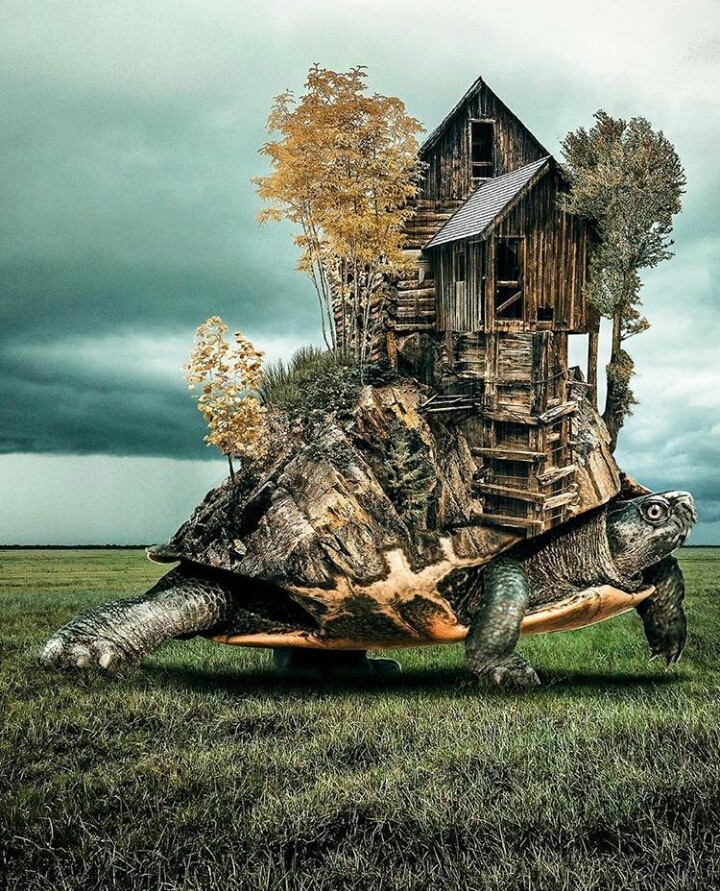 awsome photoshop!!!
