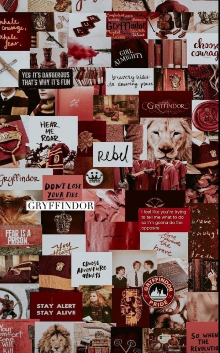gryffindor aesthetic