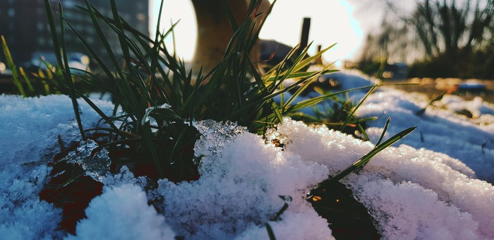 Schnee#Natur