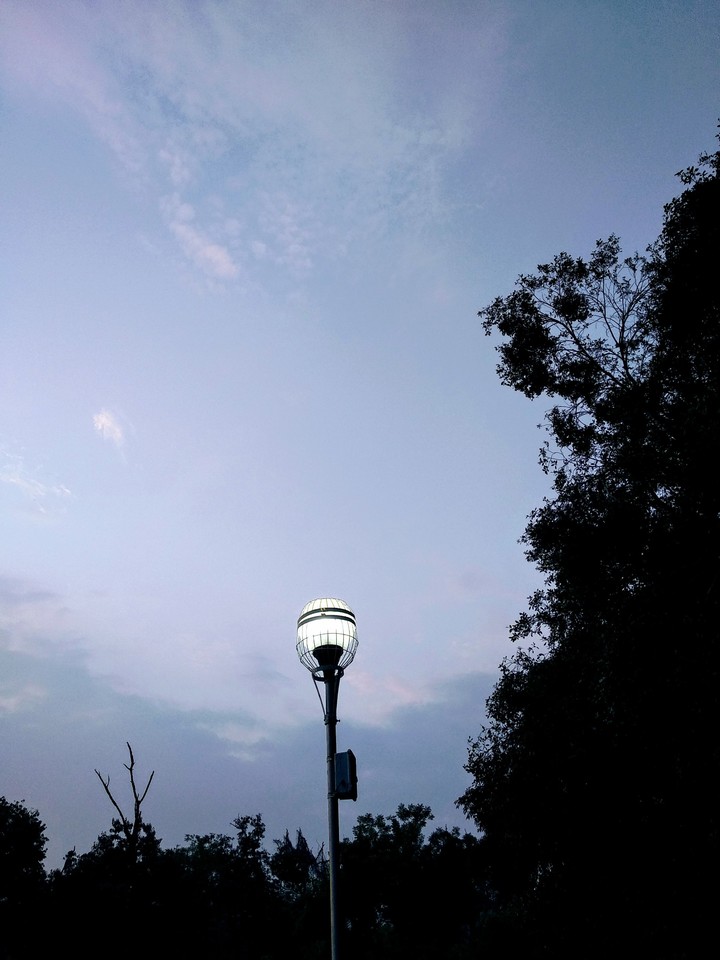 Evening