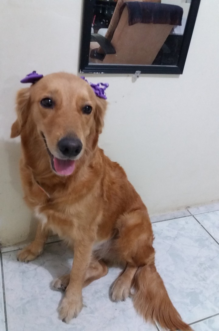 Linda