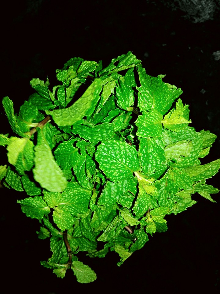 mint