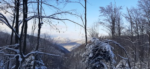 The view from the mountain