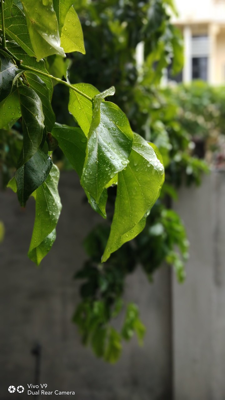 #raindrops