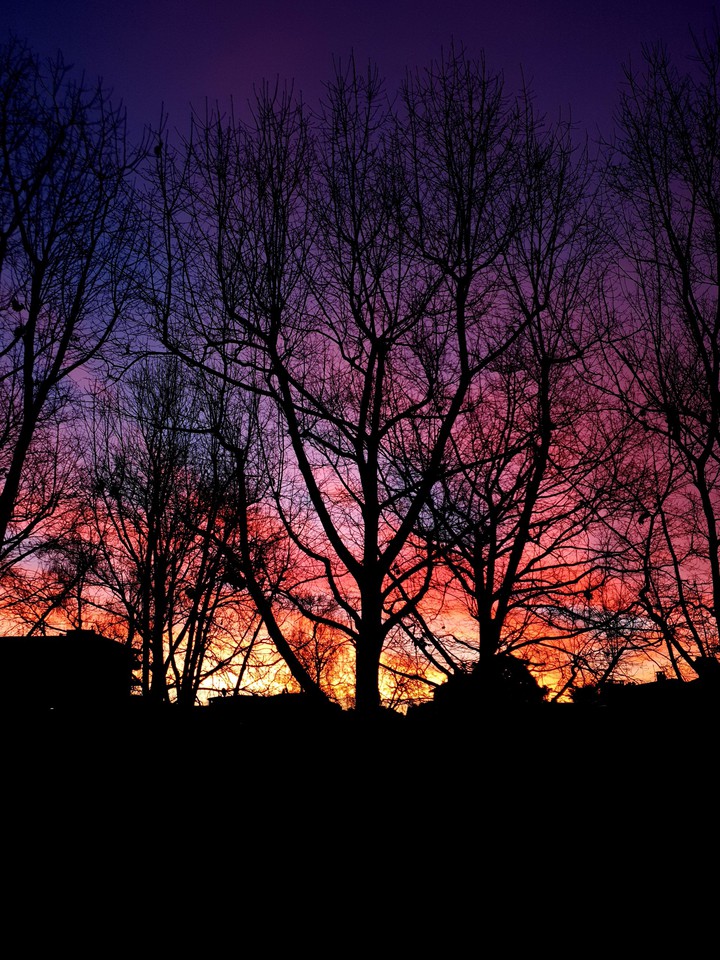 #sunset