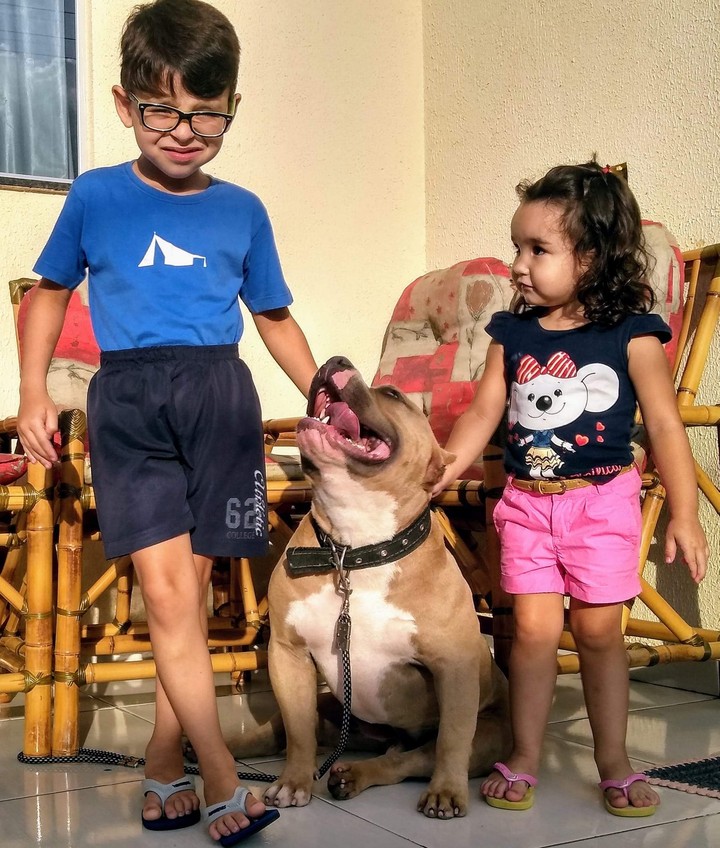 Meus amores e capitão (captain)