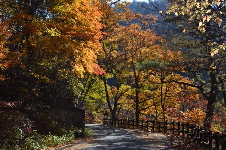 산이미지