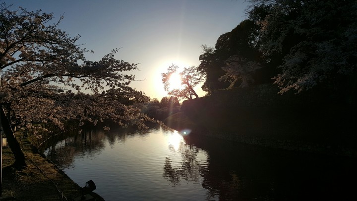 彦根城