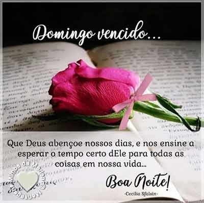 noite