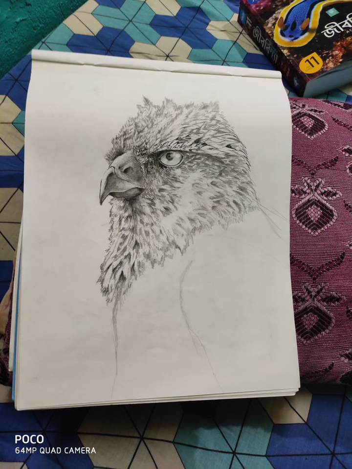 l draw this during lock down in India