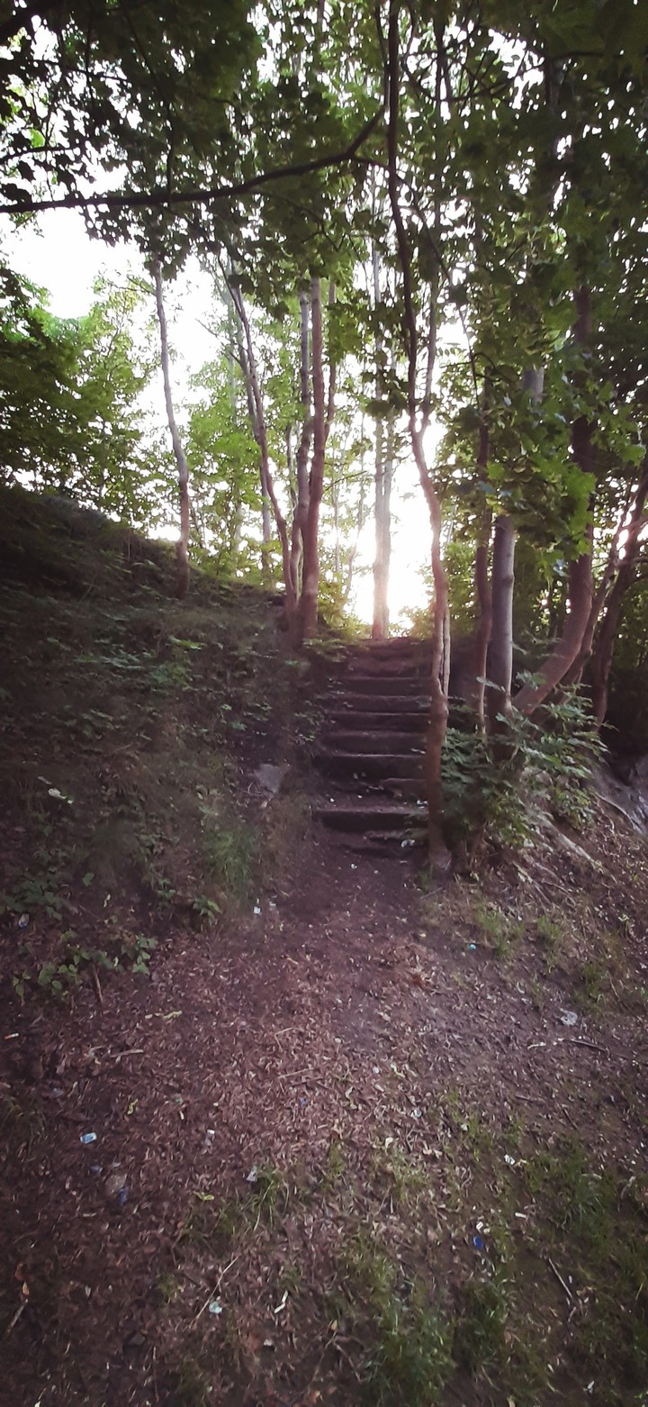 Treppe