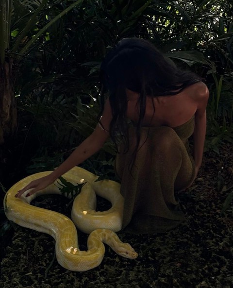 тапети snakes, serpent