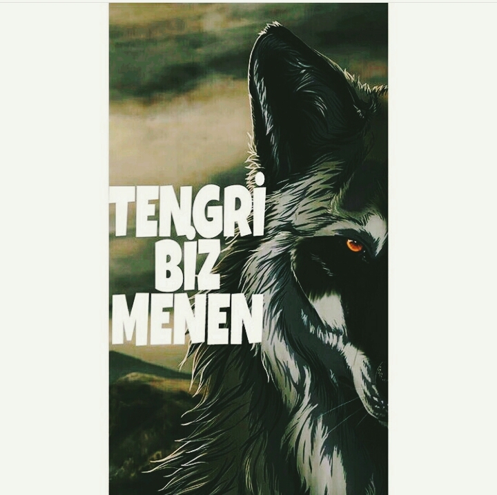 Türk