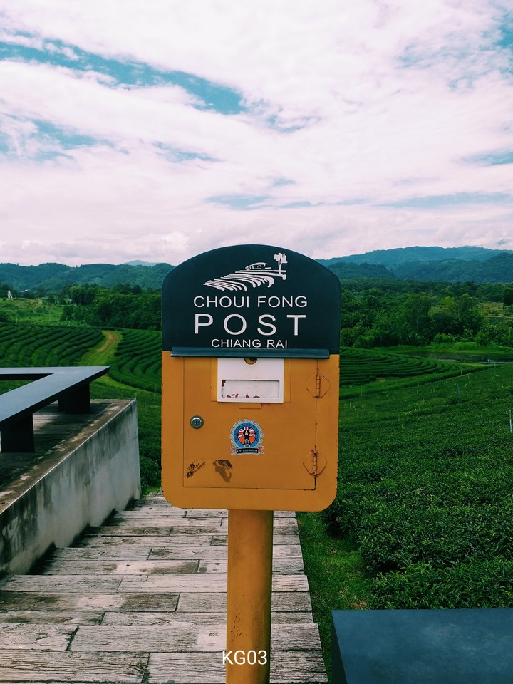 Mailbox With Nature