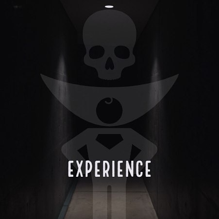 experience
