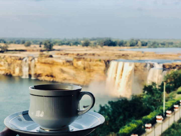 tea