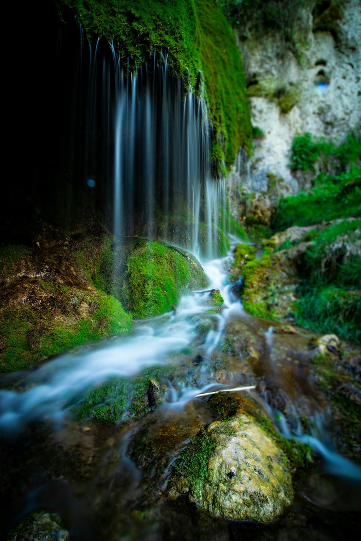 NATURE