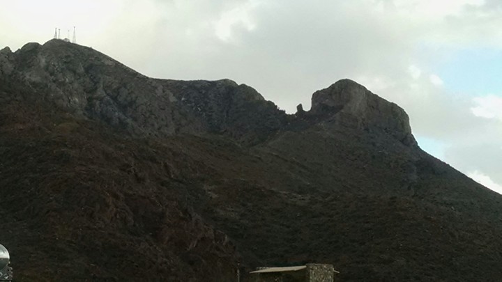 Elephant on Mountaintop