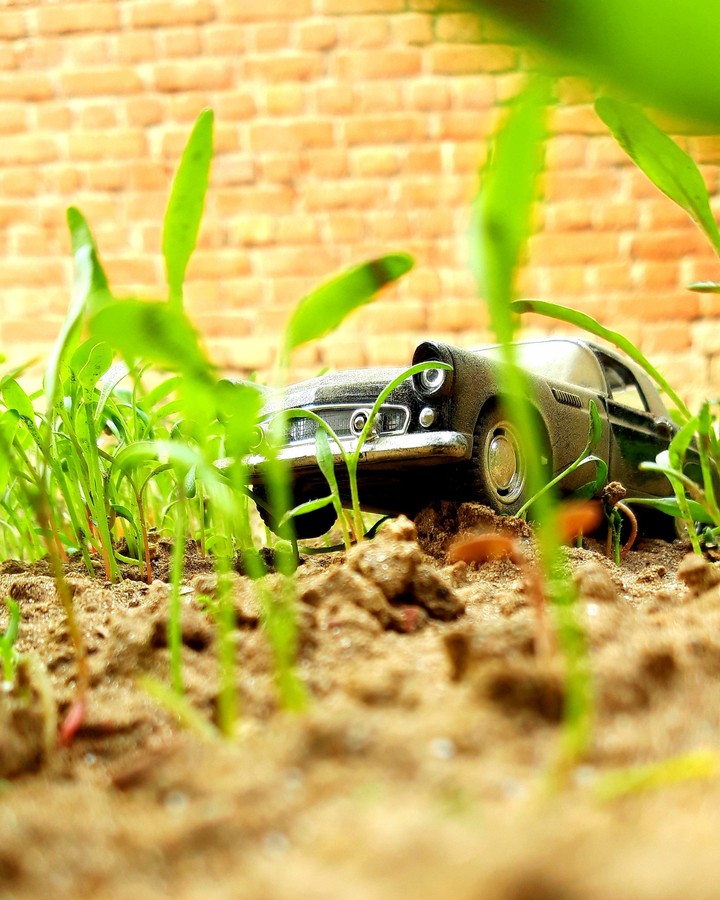 Small Car